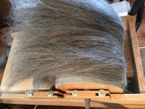 alpaca on drum carder